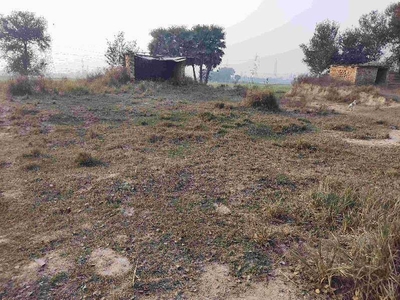 Agricultural Land 14 Biswa for Sale in