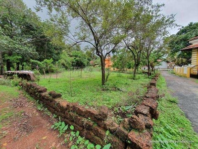 Agricultural Land 14000 Sq. Meter for Sale in Revora, Goa
