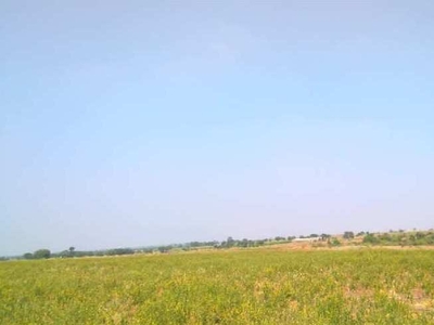 Agricultural Land 144 Acre for Sale in Jath, Sangli
