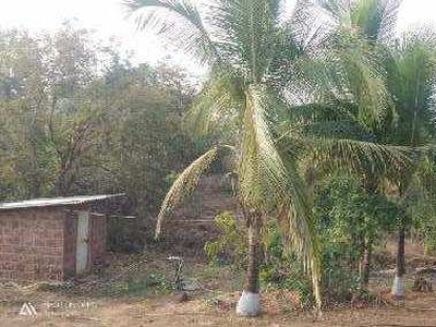Agricultural Land 15 Acre for Sale in Mandangad, Ratnagiri