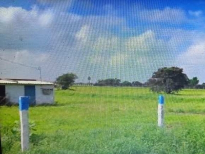 Agricultural Land 15 Ares for Sale in Dharapuram, Tirupur