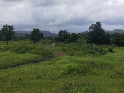 Agricultural Land 150 Acre for Sale in