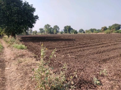 Agricultural Land 150 Guntha for Sale in Bhusawal, Jalgaon