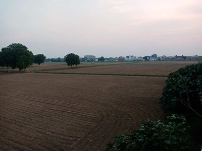 Agricultural Land 15000 Sq. Yards for Sale in