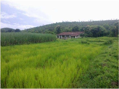 Agricultural Land 16 Ares for Sale in Bailhongal, Belgaum