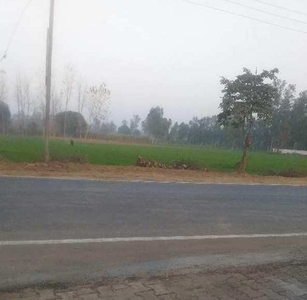Agricultural Land 16 Bigha for Sale in Mitra Nagar, Allahabad