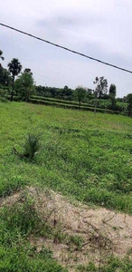 Agricultural Land 16 Guntha for Sale in Iruvaram, Chittoor