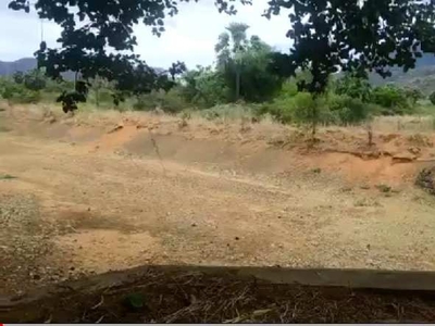 Agricultural Land 160 Acre for Sale in Papanasam, Tirunelveli