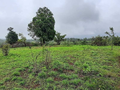 Agricultural Land 161 Acre for Sale in Maval, Pune