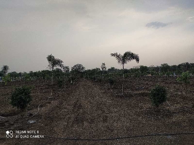 Agricultural Land 16500000 Acre for Sale in Keesara, Hyderabad