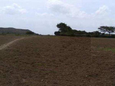 Agricultural Land 168 Acre for Sale in Sihora, Jabalpur