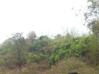 Agricultural Land 18 Acre for Sale in Dodamarg, Sindhudurg