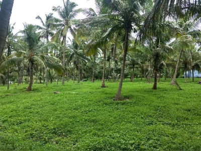 Agricultural Land 187 Acre for Sale in Kelamangalam Road, Hosur