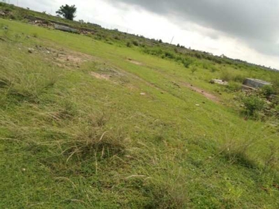 Agricultural Land 19 Bigha for Sale in Dubrajpur, Birbhum