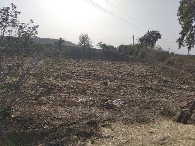 Agricultural Land 2 Acre for Sale in Bhankheda Amravati Amravati