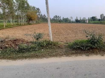 Agricultural Land 2 Acre for Sale in Bilari, Moradabad