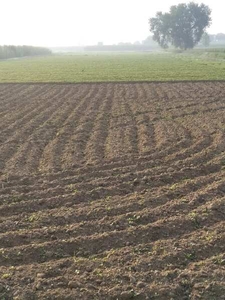 Agricultural Land 2 Acre for Sale in Hapur Bypass, Ghaziabad