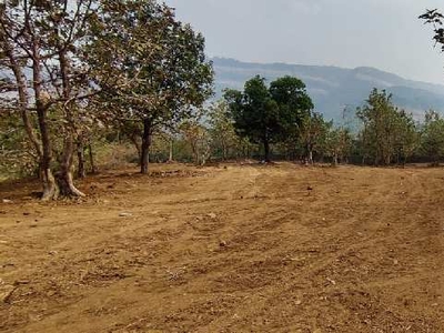 Agricultural Land 2 Acre for Sale in Karjat, Mumbai