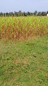 Agricultural Land 2 Acre for Sale in Kinathukadavu, Coimbatore
