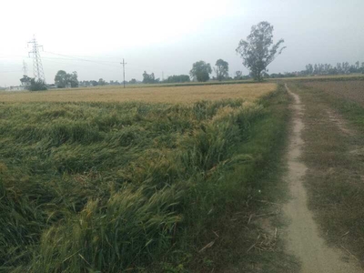 Agricultural Land 2 Acre for Sale in Nakodar, Jalandhar
