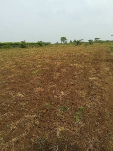 Agricultural Land 2 Acre for Sale in Pandharpur, Solapur