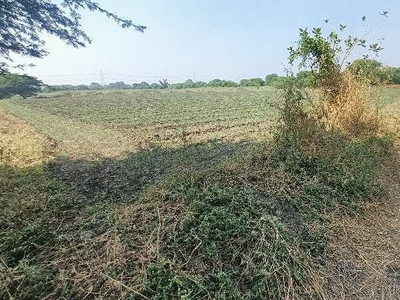 Agricultural Land 2 Bigha for Sale in Kanadia Road, Indore