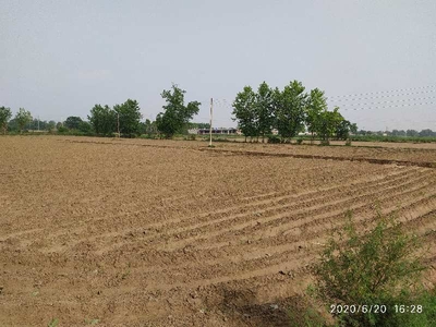 Agricultural Land 20 Acre for Sale in Dasuya Road, Hoshiarpur