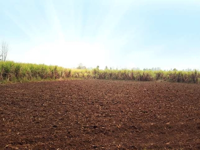 Agricultural Land 20 Acre for Sale in Kharora, Raipur