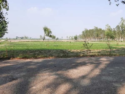 Agricultural Land 20 Bigha for Sale in