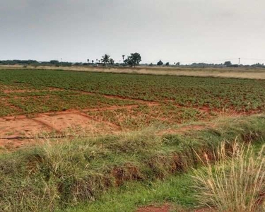 Agricultural Land 20 Cent for Sale in Thakkolam, Vellore
