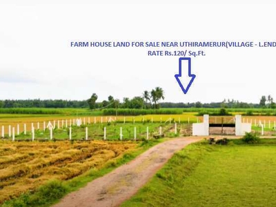 Agricultural Land 20000 Sq.ft. for Sale in