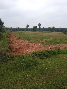 Agricultural Land 21 Acre for Sale in Sakthi Nagar,