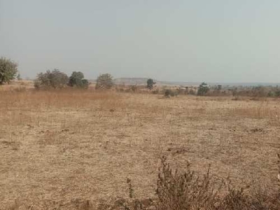 Agricultural Land 21 Ares for Sale in Amravati Road, Nagpur