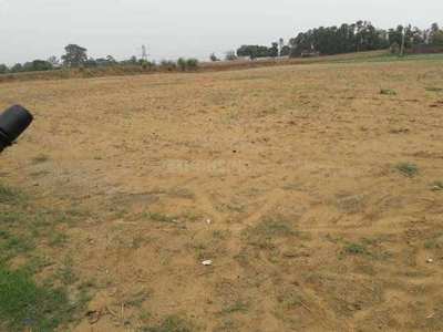 Agricultural Land 21870 Sq. Yards for Sale in