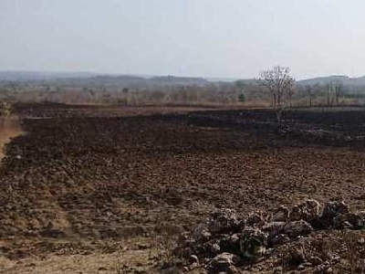 Agricultural Land 22 Acre for Sale in Mohpa, Nagpur