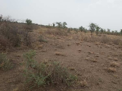 Agricultural Land 22 Bigha for Sale in Sojat, Pali