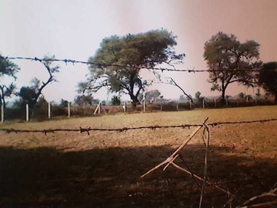 Agricultural Land 22 Guntha for Sale in Chikhodra, Anand