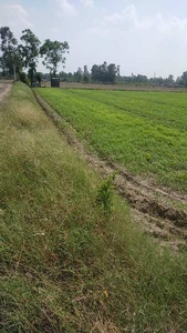 Agricultural Land 23 Acre for Sale in