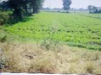 Agricultural Land 23500 Sq.ft. for Sale in Dangiyo ki hunder Udaipur