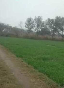 Agricultural Land 24 Acre for Sale in Bhunga, Hoshiarpur