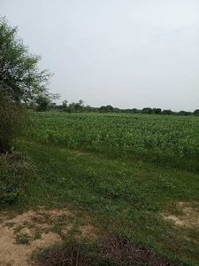 Agricultural Land 24 Bigha for Sale in Kabrai, Mahoba