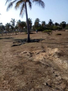 Agricultural Land 25 Acre for Sale in Peravurani, Thanjavur