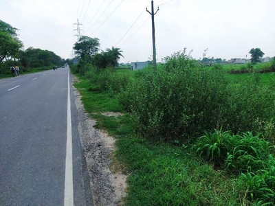Agricultural Land 25 Bigha for Sale in