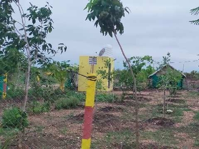 Agricultural Land 25 Cent for Sale in Akkaraipatti, Tiruchirappalli