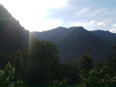 Agricultural Land 250 Acre for Sale in Yamkeshwar, Pauri Garhwal