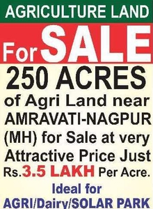 Agricultural Land 250 Ares for Sale in Morshi, Amravati