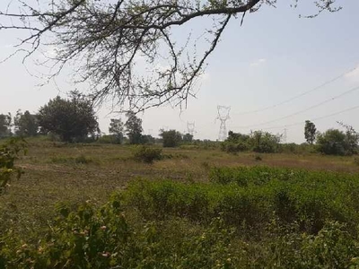 Agricultural Land 26 Acre for Sale in Barkheda, Bhopal