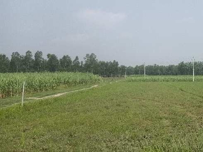 Agricultural Land 27 Bigha for Sale in Laharpur, Sitapur