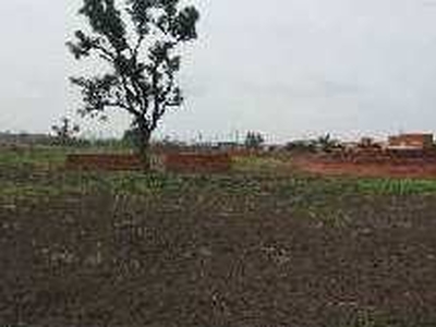 Agricultural Land 3 Acre for Sale in Basavana, Bijapur
