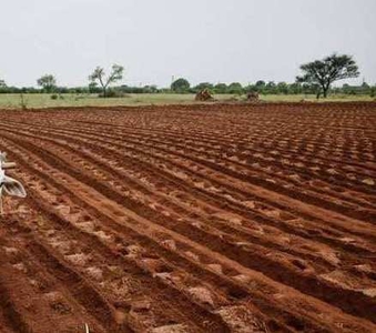 Agricultural Land 3 Acre for Sale in Biloli, Nanded